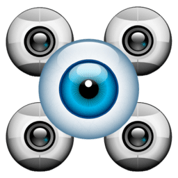 Multiple Camera Monitor